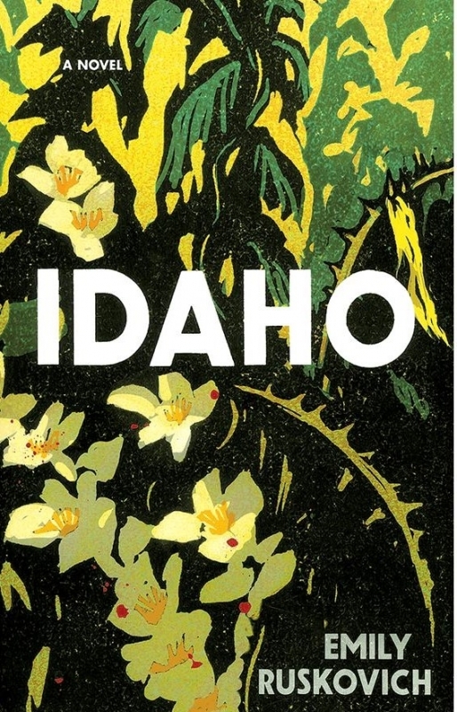 کتاب رمان انگلیسی آیداهو  Idaho