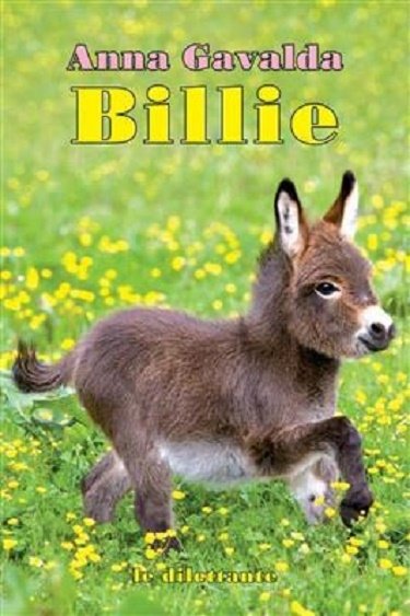 کتاب رمان انگلیسی بیلی Billie Anna Gavalda