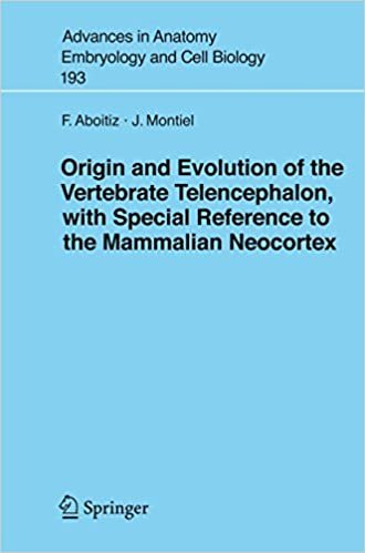 کتاب زبان اوریجین اند د اولوشن Origin and Evolution of the Vertebrate Telencephalon, with Special Reference to the Mammalian Ne