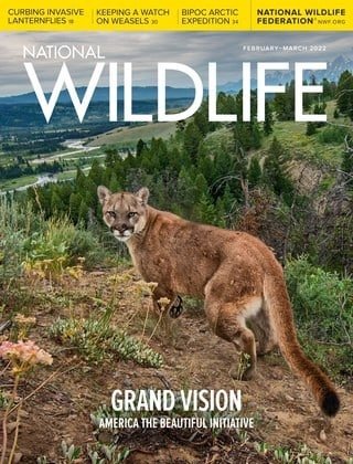 کتاب مجله انگلیسی نشنال وایلد لایف  National Wildlife - February/March 2022
