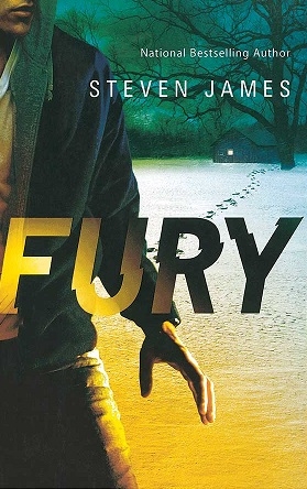 کتاب رمان انگلیسی سه گانه تاری Blur Trilogy-Fury-Book 2