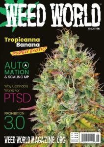کتاب مجله انگلیسی وید ورد Weed World - Issue 156, February 2022