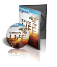 مستند حيات وحش سرعت زندگي speed of life