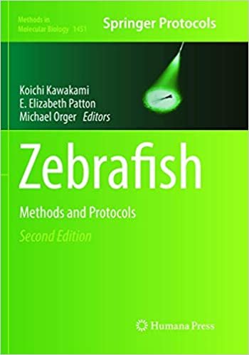 کتاب زبان گورخرماهی: روش ها و پروتکل ها Zebrafish : Methods and Protocols