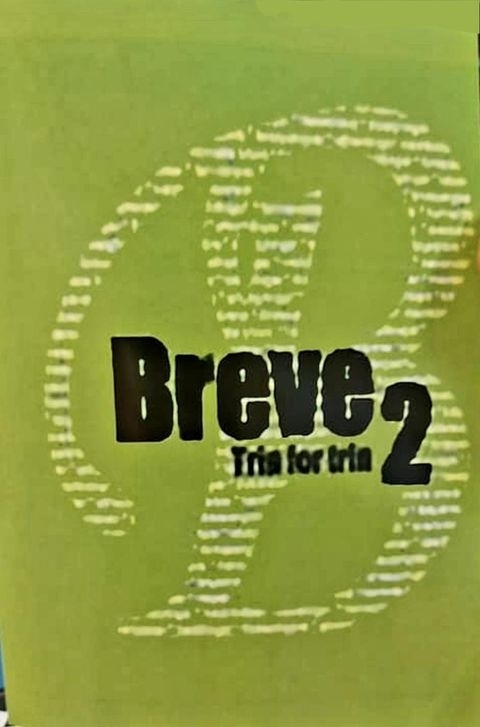کتاب دانمارکی 2 Breve trin for trin
