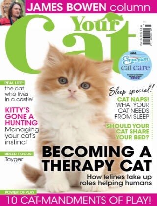 کتاب مجله انگلیسی یور کت مگزین Your Cat Magazine - March 2022