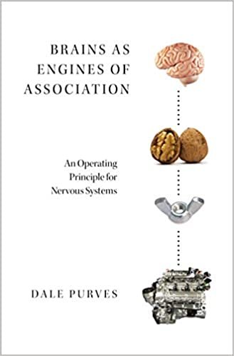 کتاب برینز از انجینز آف اسوسیشن&nbsp;Brains as Engines of Association2019