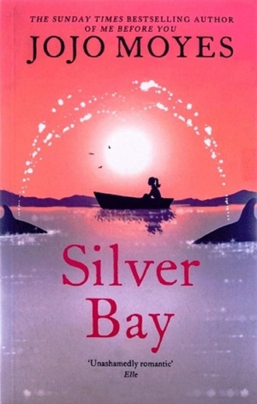 کتاب رمان انگلیسی خلیج نقره ای Silver Bay